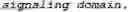 Fig. 35 - GENETICALLY MODIFIED NATURAL KILLER CELLS AND METHODS OF USE THEREOF