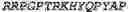 Fig. 41 - GENETICALLY MODIFIED NATURAL KILLER CELLS AND METHODS OF USE THEREOF