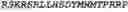 Fig. 49 - GENETICALLY MODIFIED NATURAL KILLER CELLS AND METHODS OF USE THEREOF