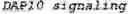 Fig. 64 - GENETICALLY MODIFIED NATURAL KILLER CELLS AND METHODS OF USE THEREOF