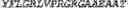 Fig. 65 - GENETICALLY MODIFIED NATURAL KILLER CELLS AND METHODS OF USE THEREOF