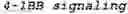 Fig. 77 - GENETICALLY MODIFIED NATURAL KILLER CELLS AND METHODS OF USE THEREOF