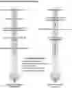 Fig. 01 - Endothelium-Specific Nucleic Acid Regulatory Elements and Methods and Use Thereof
