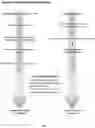 Fig. 02 - Endothelium-Specific Nucleic Acid Regulatory Elements and Methods and Use Thereof