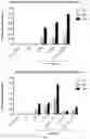Fig. 06 - Endothelium-Specific Nucleic Acid Regulatory Elements and Methods and Use Thereof