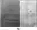 Fig. 06 - ARTICLES COATED WITH METAL NANOPARTICLE AGGLOMERATES