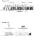 Fig. 02 - HUMAN PLASMA-LIKE MEDIUM