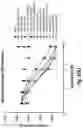 Fig. 49 - ANTIBODIES AGAINST CD73 AND USES THEREOF