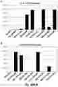 Fig. 72 - ANTIBODIES AGAINST CD73 AND USES THEREOF