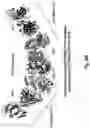 Fig. 76 - ANTIBODIES AGAINST CD73 AND USES THEREOF