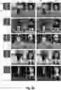 Fig. 09 - Generating synthesized digital images utilizing class-specific machine-learning models