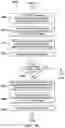Fig. 35 - Systems, devices and methods for creating a collaborative virtual session