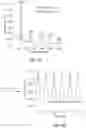 Fig. 07 - METHOD AND SYSTEM FOR DETERMINING THE INTEGRITY OF AUDITORY NERVE FIBERS AND SYNAPSES