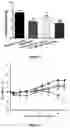 Fig. 08 - Composition comprising PIC for treatment of cancer
