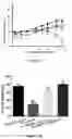 Fig. 09 - Composition comprising PIC for treatment of cancer