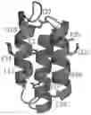 Fig. 01 - Multivalent D-Peptidic Compounds for Target Proteins