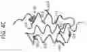 Fig. 08 - Multivalent D-Peptidic Compounds for Target Proteins