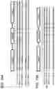 Fig. 22 - Multivalent D-Peptidic Compounds for Target Proteins