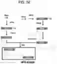Fig. 40 - Multivalent D-Peptidic Compounds for Target Proteins