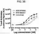 Fig. 46 - Multivalent D-Peptidic Compounds for Target Proteins