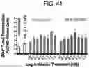 Fig. 49 - Multivalent D-Peptidic Compounds for Target Proteins