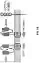 Fig. 02 - Systems and Methods for Producing Efficacious Regulatory T Cells