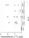 Fig. 07 - Systems and Methods for Producing Efficacious Regulatory T Cells