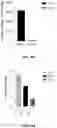 Fig. 65 - Systems and Methods for Producing Efficacious Regulatory T Cells