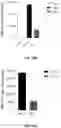 Fig. 69 - Systems and Methods for Producing Efficacious Regulatory T Cells