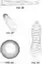 Fig. 09 - Endodontic instruments