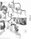 Fig. 45 - Engineered aryl sulfate-dependent enzymes