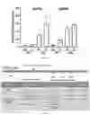 Fig. 22 - PLAKOPHILLIN-2 GENE THERAPY METHODS AND COMPOSITIONS