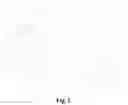 Fig. 03 - Motor rotor and IPM motor
