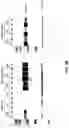 Fig. 04 - REGULATABLE EXPRESSION SYSTEMS