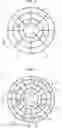 Fig. 03 - Corneal implant