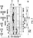 Fig. 06 - Fingerprint sensing apparatus