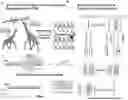 Fig. 01 - PROGRAMMABLE ENZYME-ASSISTED SELECTIVE EXPONENTIAL AMPLIFICATION FOR SENSITIVE DETECTION OF RARE MUTANT ALLELES