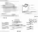 Fig. 05 - PROGRAMMABLE ENZYME-ASSISTED SELECTIVE EXPONENTIAL AMPLIFICATION FOR SENSITIVE DETECTION OF RARE MUTANT ALLELES