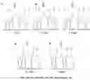 Fig. 10 - PROGRAMMABLE ENZYME-ASSISTED SELECTIVE EXPONENTIAL AMPLIFICATION FOR SENSITIVE DETECTION OF RARE MUTANT ALLELES