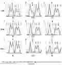 Fig. 11 - PROGRAMMABLE ENZYME-ASSISTED SELECTIVE EXPONENTIAL AMPLIFICATION FOR SENSITIVE DETECTION OF RARE MUTANT ALLELES