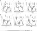 Fig. 17 - PROGRAMMABLE ENZYME-ASSISTED SELECTIVE EXPONENTIAL AMPLIFICATION FOR SENSITIVE DETECTION OF RARE MUTANT ALLELES