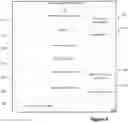 Fig. 07 - Healthcare provider search based on experience