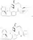 Fig. 1237 - Compounds that inhibit MCL-1 protein