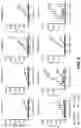 Fig. 09 - ANTIBODY CONSTRUCTS BINDING 4-1BB AND TUMOR-ASSOCIATED ANTIGENS AND USES THEREOF