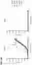 Fig. 43 - ANTIBODY CONSTRUCTS BINDING 4-1BB AND TUMOR-ASSOCIATED ANTIGENS AND USES THEREOF