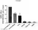 Fig. 08 - METHODS TO ALTER THE TUMOR MICROENVIRONMENT FOR EFFECTIVE CANCER IMMUNOTHERAPY