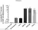 Fig. 09 - METHODS TO ALTER THE TUMOR MICROENVIRONMENT FOR EFFECTIVE CANCER IMMUNOTHERAPY