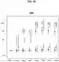 Fig. 06 - IMMUNOGENIC COMPOSITION COMPRISING STAPHYLOCOCCAL ANTIGENS