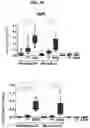Fig. 07 - IMMUNOGENIC COMPOSITION COMPRISING STAPHYLOCOCCAL ANTIGENS