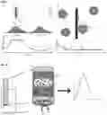 Fig. 02 - ELECTROCHEMICAL SENSING METHODS AND APPARATUS FOR DETERMINING DRUG UPTAKE AND RETENTION IN CELLS